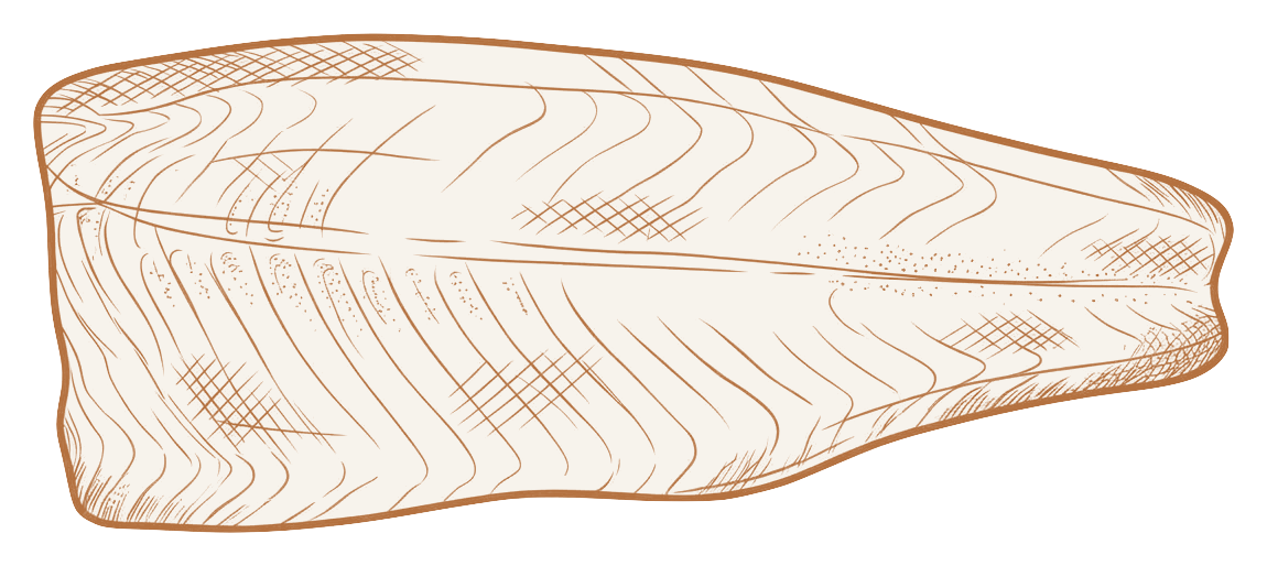 Filet de saumon biologique vu du dessus
